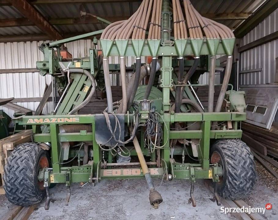 Siewnik do kukurydzy Amazone ED 601k 8 Siewniki i sadzarki Sadłowo