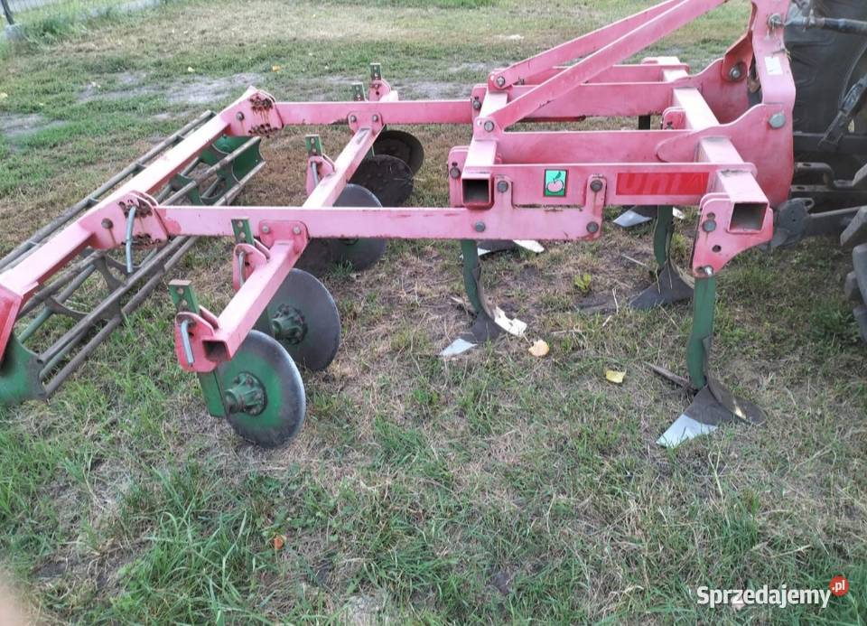 Gruber Kos Kultywatory Radziejów