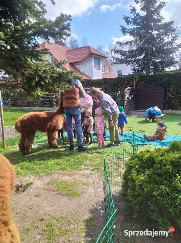 Żłobek Pod Chmurką na Ursynowie Warszawa