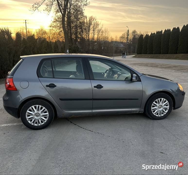 Volkswagen Golf V 19 TDI 2005r
