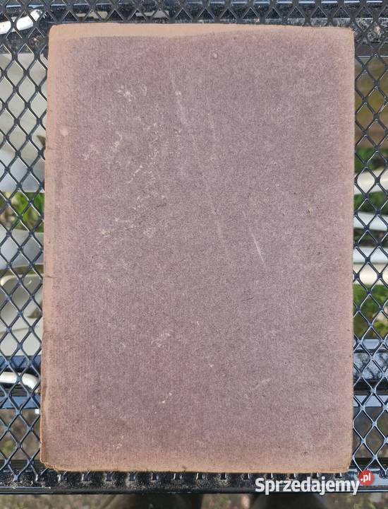 Grtler Warszawa Nowy Świat49 Foto Lata 20 Koszalin