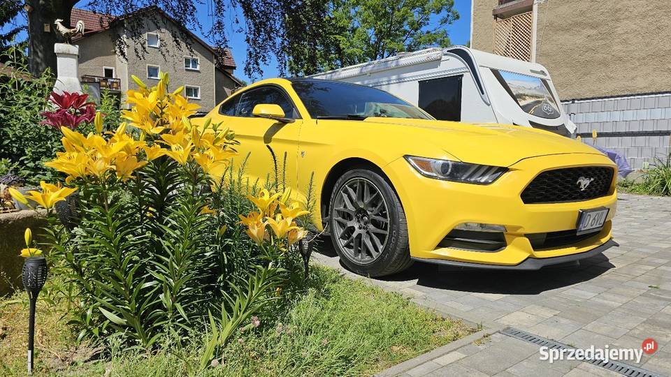 Ford Mustang 37 BLPG 2015r kamera cofania Motoryzacja dolnośląskie