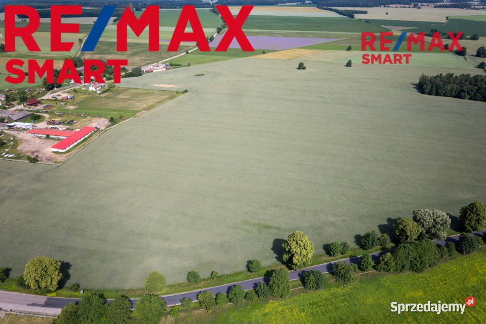 901 ha MPZP produkcja logistyka 1 S7 Białuty