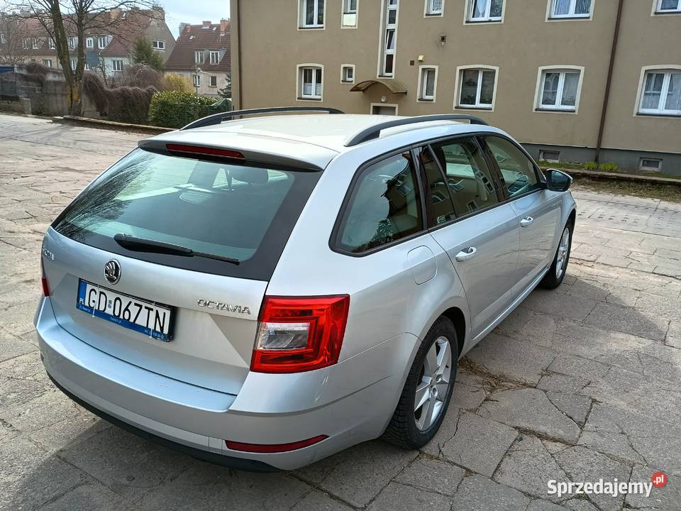 Skoda Octavia III Kombi pierwszy właściciel Rok produkcji 2019 Octavia Słupsk