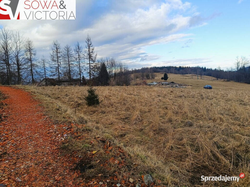 Widokowa działka na obrzeżach Wałbrzycha Wałbrzych
