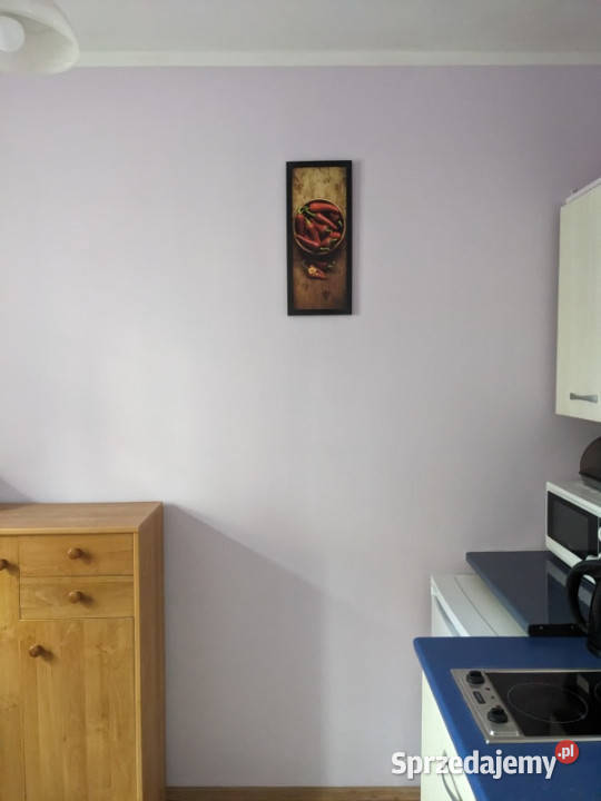 Sprzedam mieszkanie 23m koło Tauron Arena Kraków