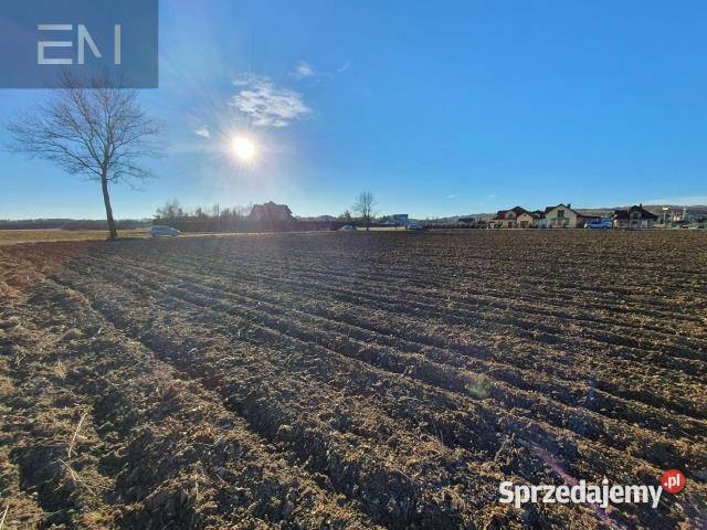 Grunt Dębowiec 3200m2 telefon Sprzedaż