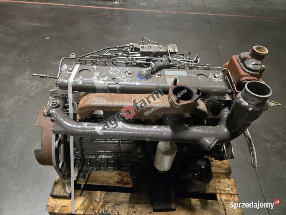 Silnik Massey Ferguson 3080 Perkins A6354 Byków