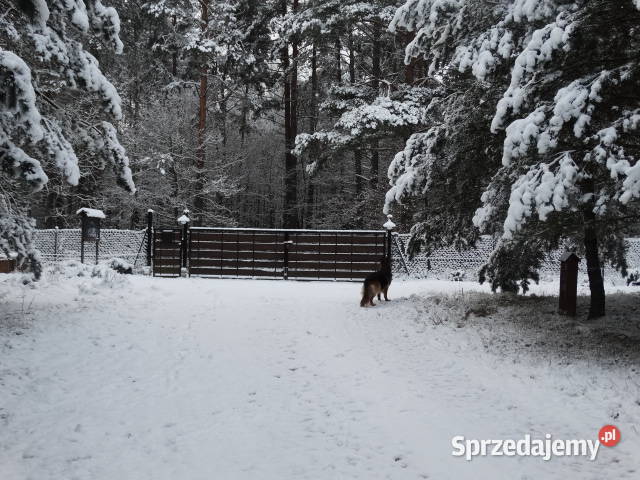 Działka na Kaszubach w bliskim otoczeniu lasów i Bytów