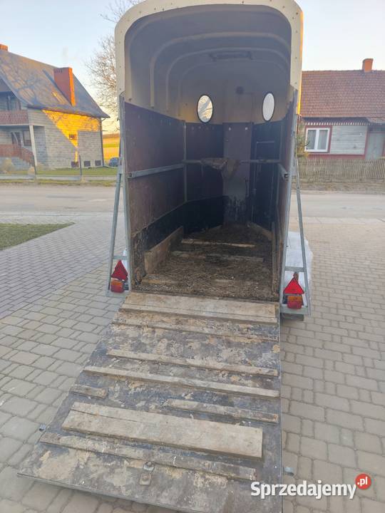 Przyczepa do koni WESCO DMC 1300 KAT B