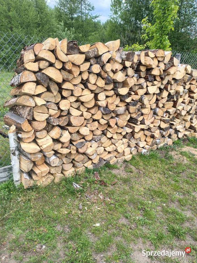 Gęsi białe domowe Płachty