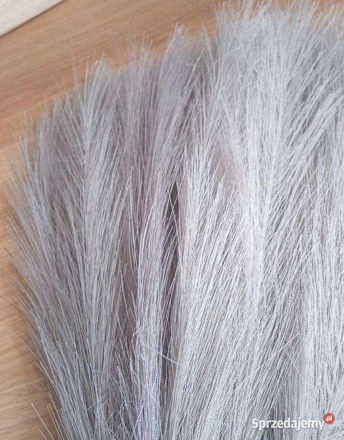 Nowa szara trawa pampasowa 40 sztuk Szczecinek
