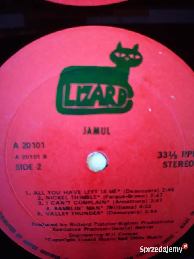 Biały kruk na czarnym winylu JAMUL Lizard1970 Rzeszów