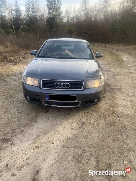 Audi a4 Grudziądz