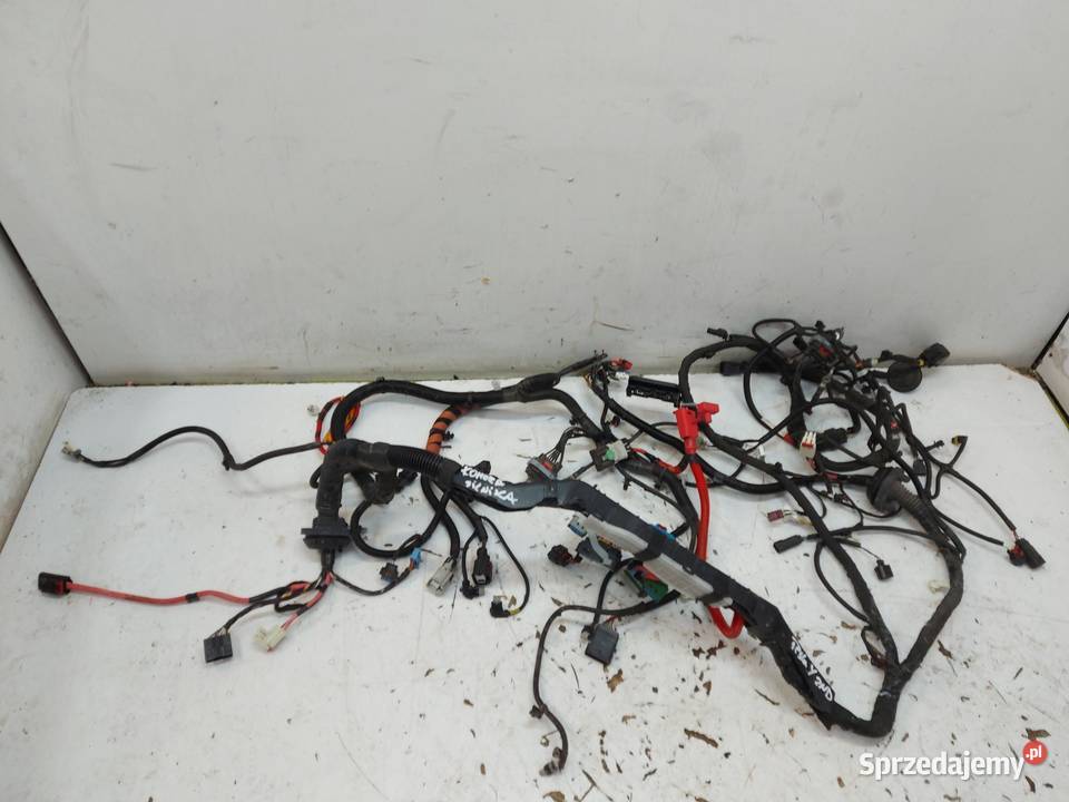 TESLA MODEL Y 2023r Wiązka komory silnika 2WD