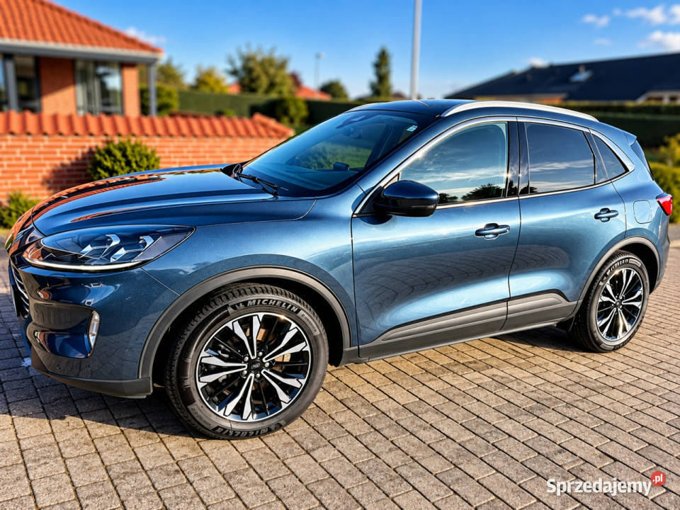 Ford Kuga III 2019 nieuszkodzony
