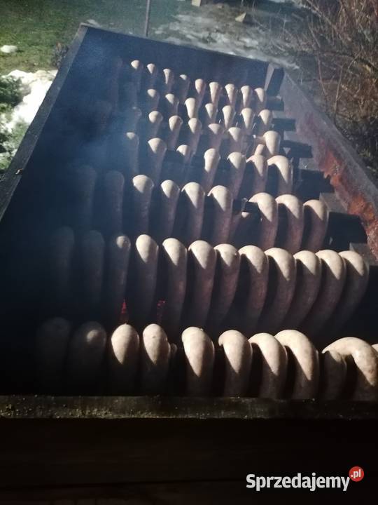 Wędzarniawędzarka olchowa dużadostępna Łążek Ordynacki sprzedam