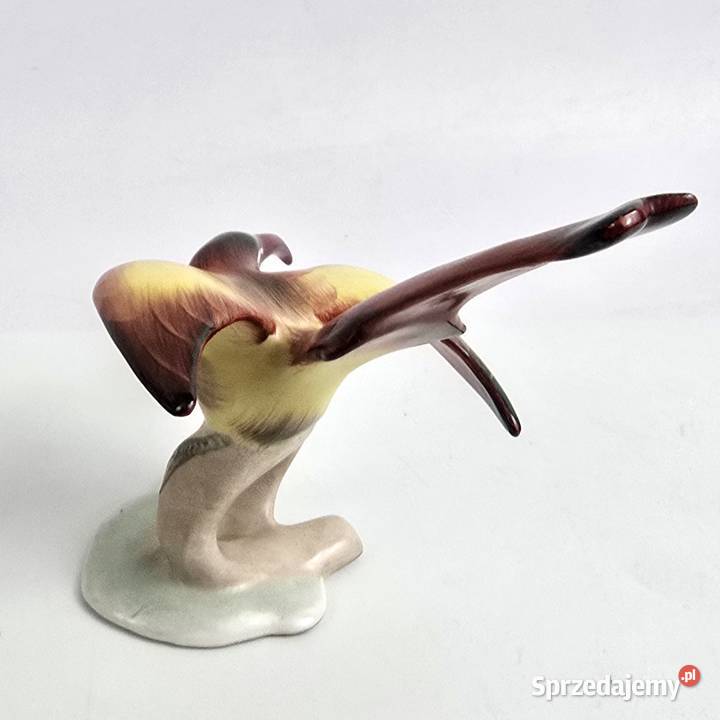 Ptak Miodojad Klary Garbera Aquincum Budapeszt