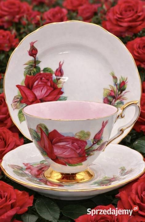 Porcelana zdobiona motywem róż Pabianice