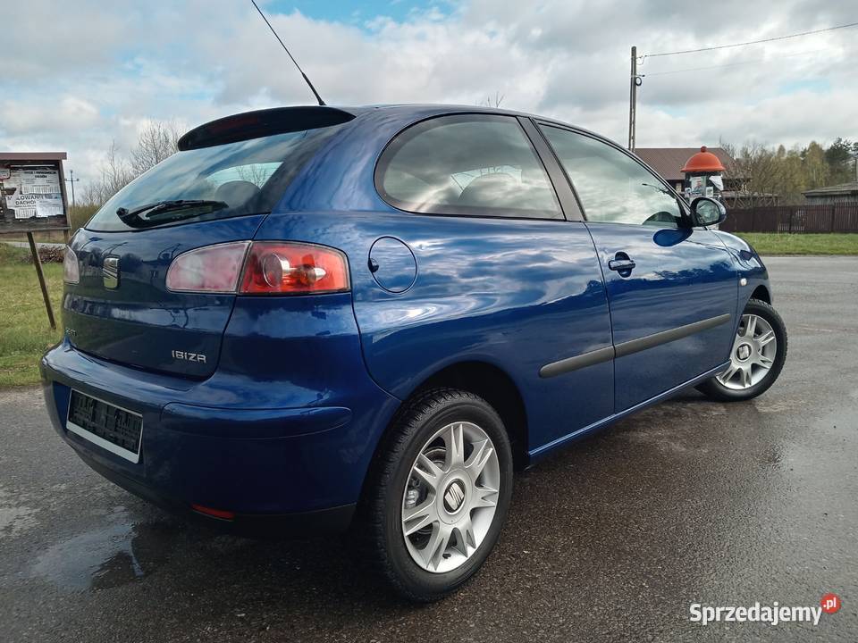 Seat Ibiza 2004r 14 16V 101