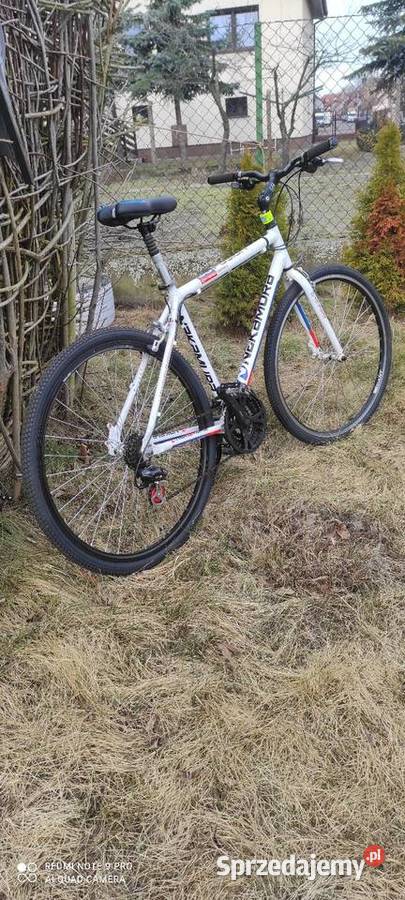 Rower koła 28 Leszno