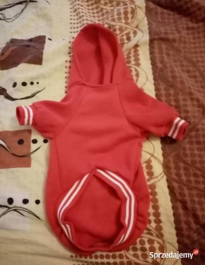 Ubranko pieska Ostrowiec Świętokrzyski