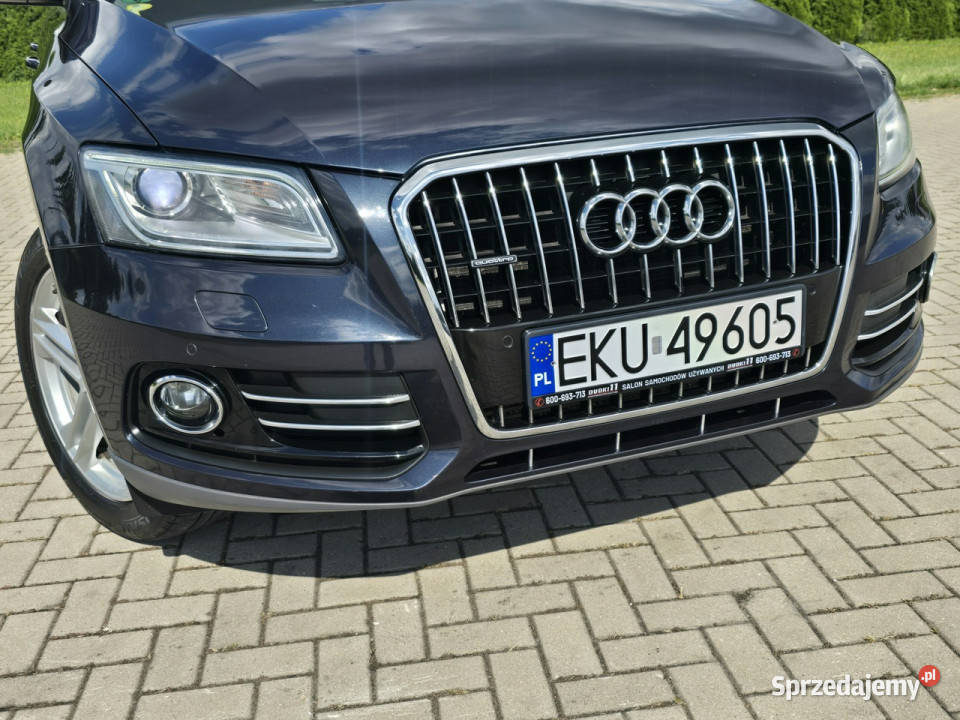 Audi Q5 20tdi QuattroNaviAutomatElektrKlapa Kutno