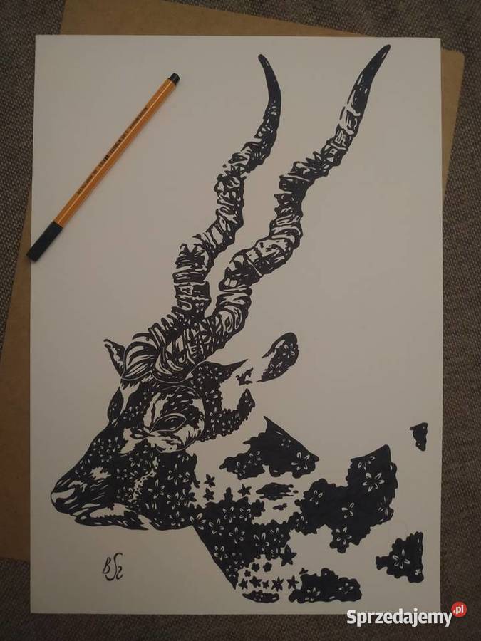 Rysunek antylopa indyjska cienkopis blok t A3 Malarstwo Warszawa