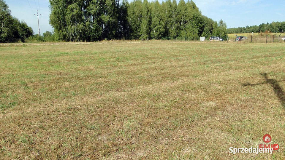 sprzedaży gruntu 1500m2 Hołówki Duże asfalt