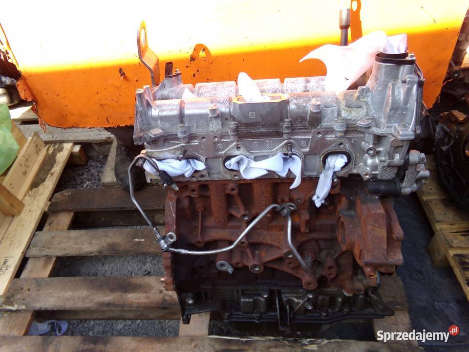 TRANSIT MK8 20 TDCI ECOBLUE 20r 185 silnik BCFB Suków sprzedam