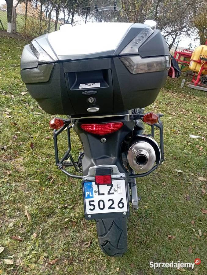 Suzuki vstrom 650 Złojec sprzedam