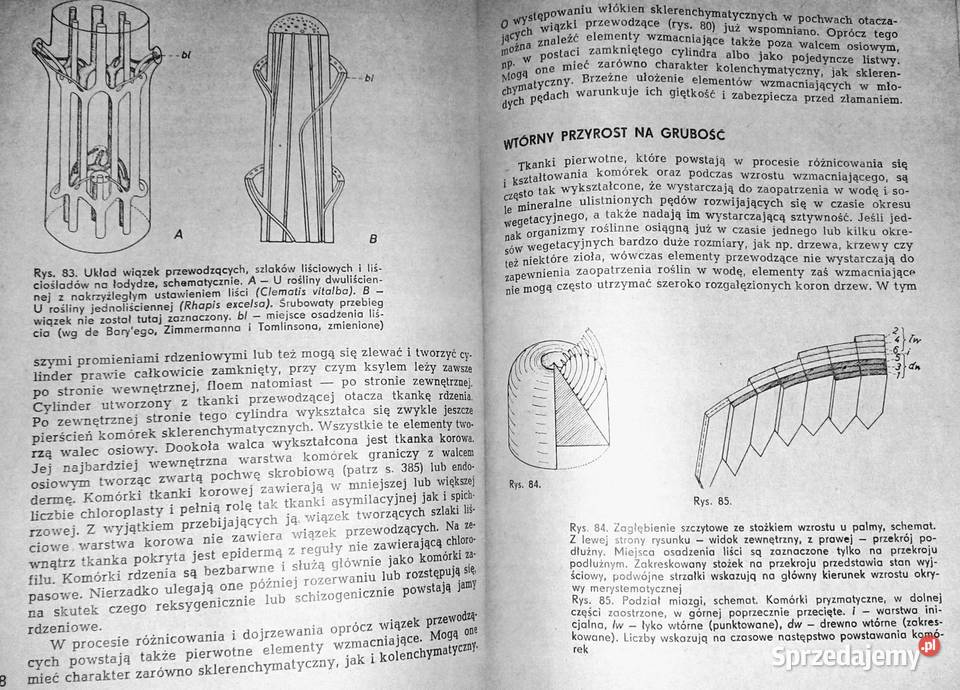 Botanika ogólna Wilhelm Nultsch sprzedam