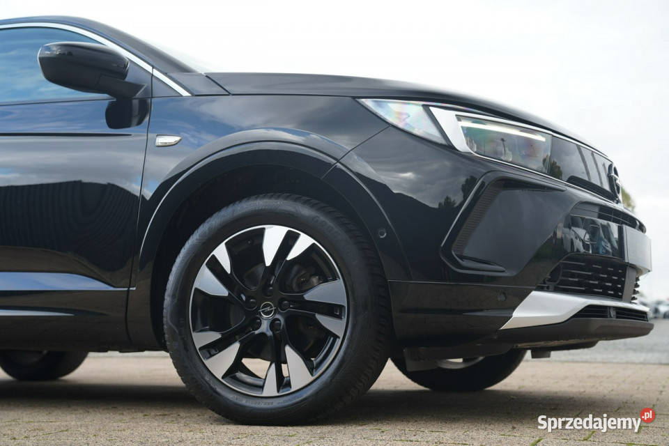 Opel Grandland X FUL LED skóra NAWI kamera blis opolskie Otmuchów