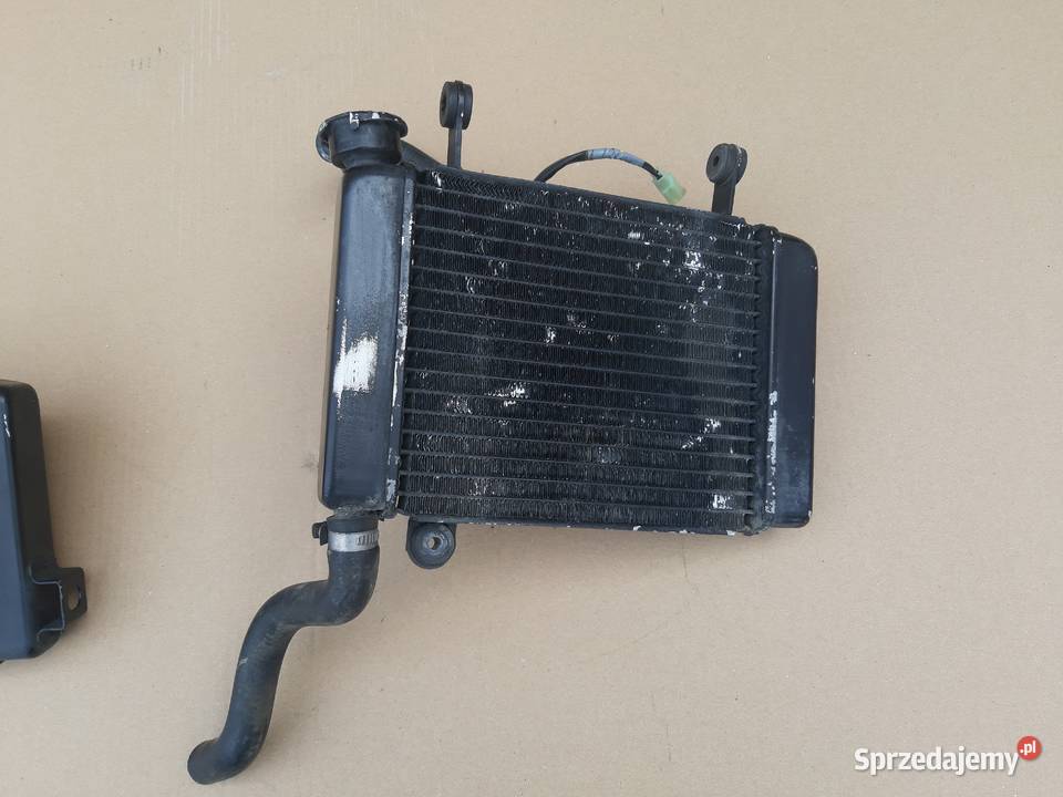 HONDA CBR 125 CHŁODNICA WODY CIECZY lubuskie Bieleń sprzedam