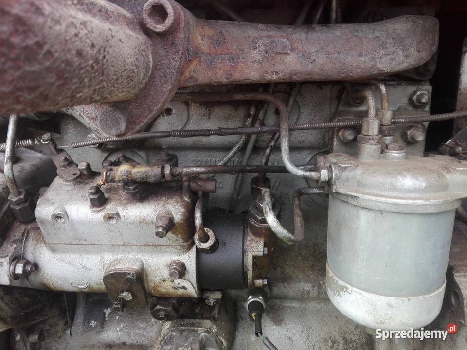 Sprzedam zamienię MF 255 Stara Zblicha