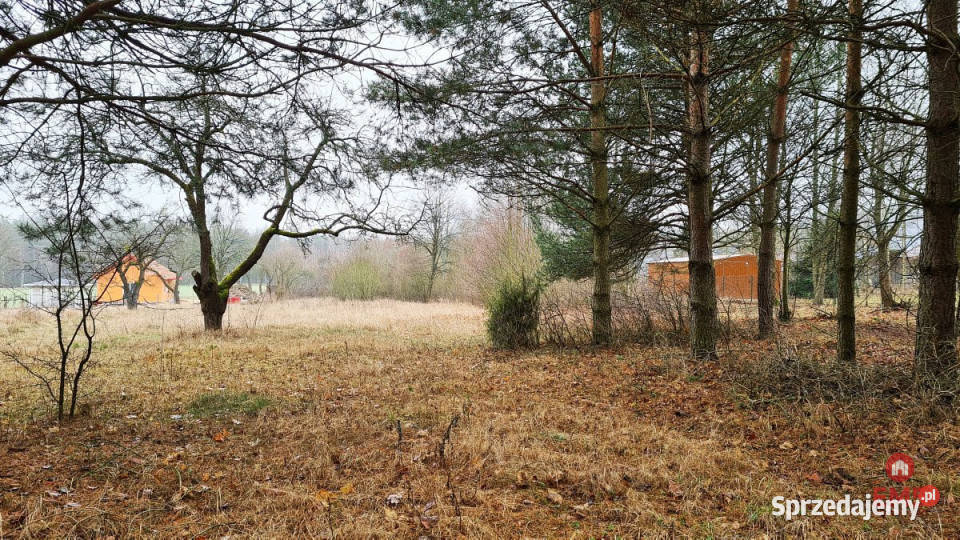 Grunt Pieńki 1743m2 Sprzedaż
