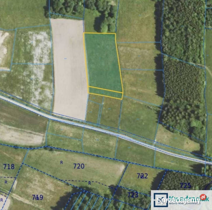 Grunt Gogołów 12200m2 Sprzedaż