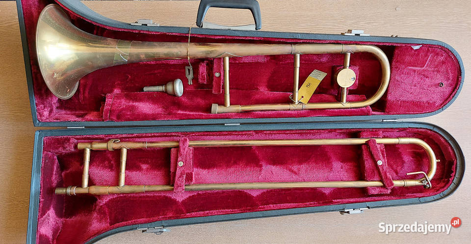 Puzon Dąbrowa Górnicza