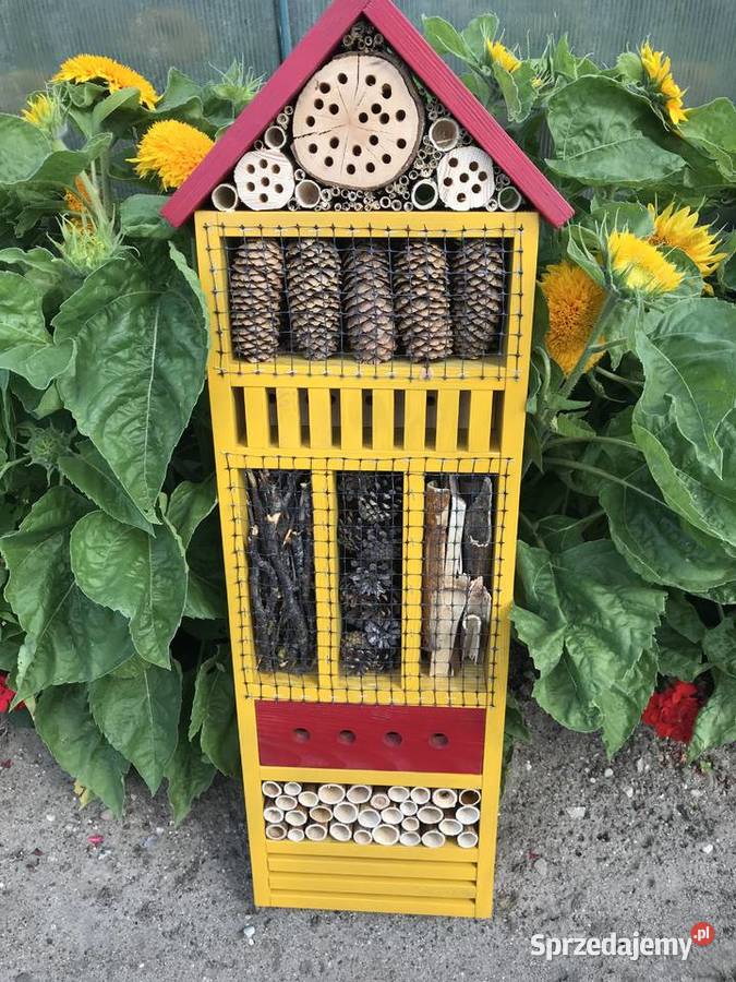 Domek owadów 100 zachodniopomorskie Sławno