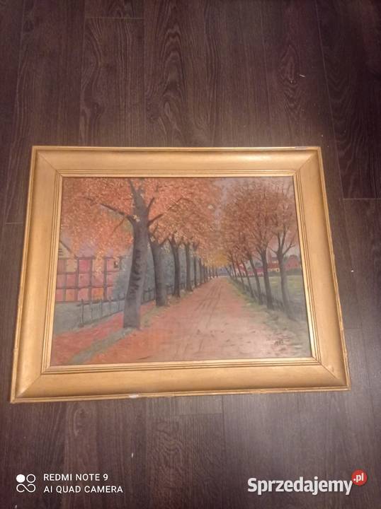 Obraz na sklejce w złotej ramie 67 x 545 odcienie brązowego Dom i Ogród Szczecin sprzedam