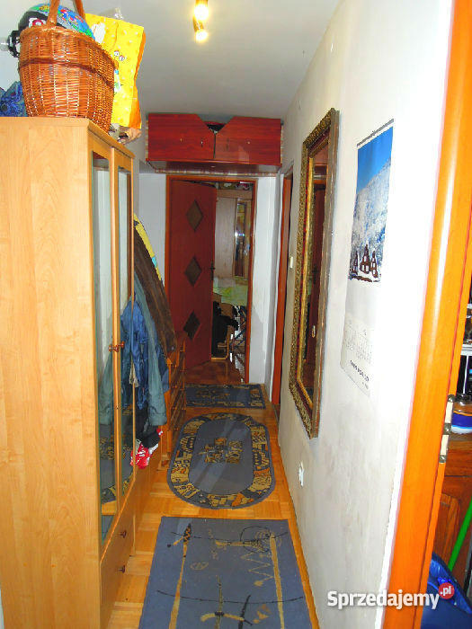 TORUŃ WRZOSY II Toruń