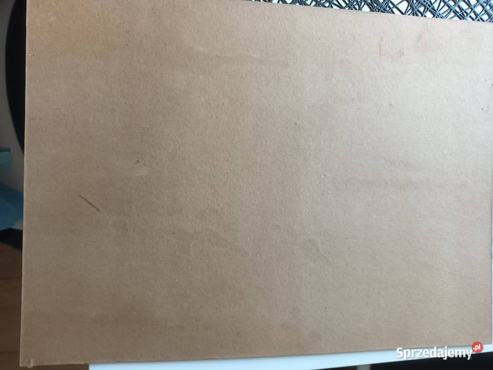 Kobieta w kapeluszu Malbork