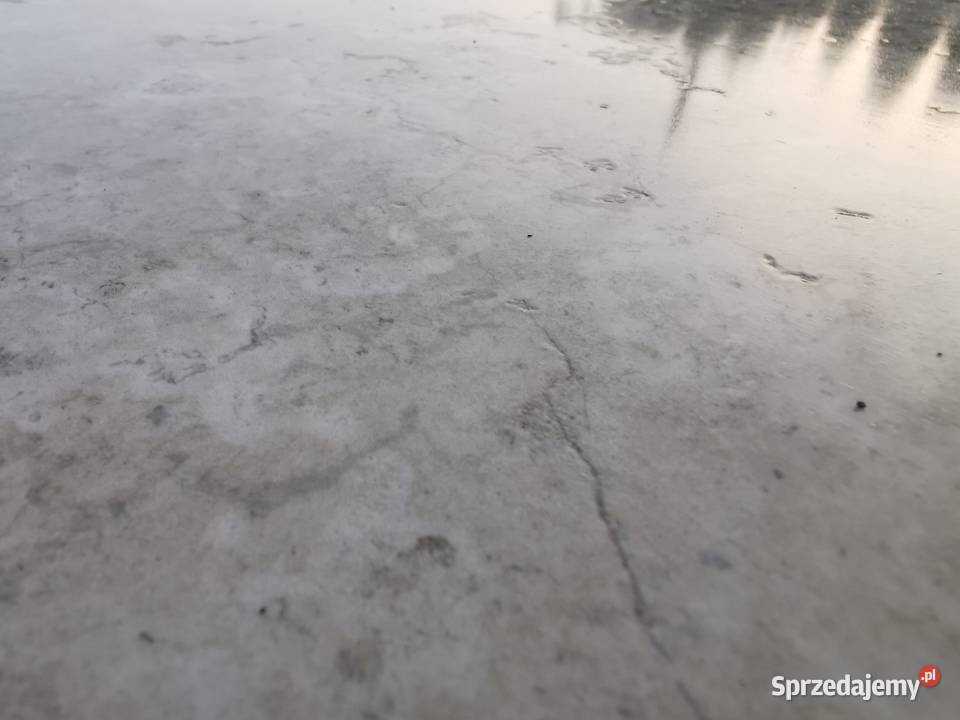 Włoskie płytki gresowe 120x120 Pietra Viva Beige Poskwitów