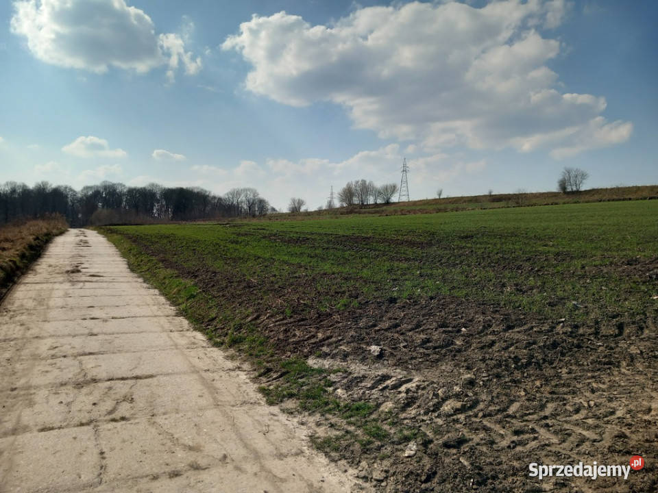 Jakubowice Murowane gm Wólkadziałka 6600m2