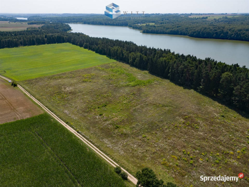 Działka Dąbrówno 2100m2 Sprzedaż
