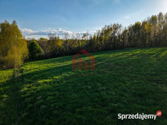 Grunt Kraczkowa 33000m2 Sprzedaż