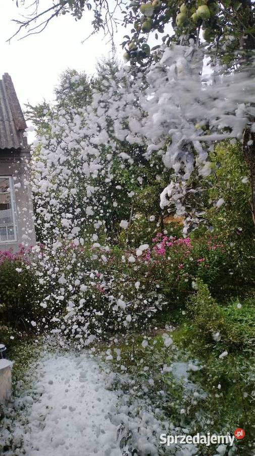 Wytwornica piany generator pokaz piany piana Gdańsk