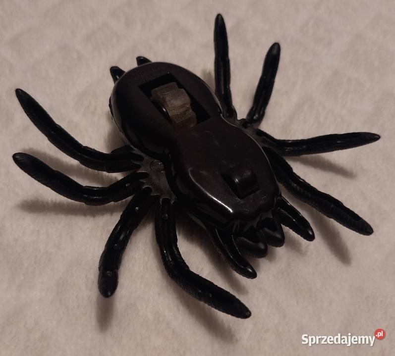 Pająk zsuwający się szybie 85 prank na Halloween śląskie Czeladź