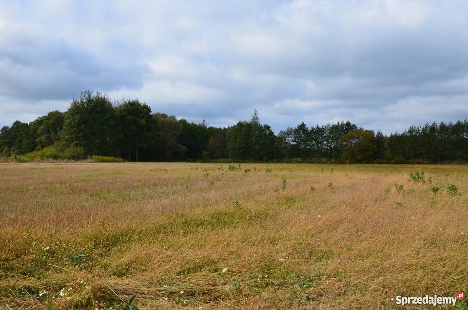 Piękna działka jez Białe budowlana Gostynin