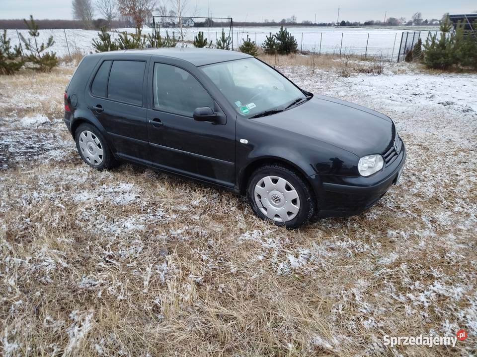 Volkswagen Golf 4 Edition benzyna Chojno Nowe Drugie